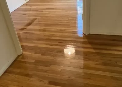 Flooring Refinishing